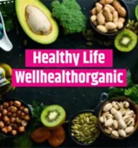 Healthy Life Wellhealthorganic