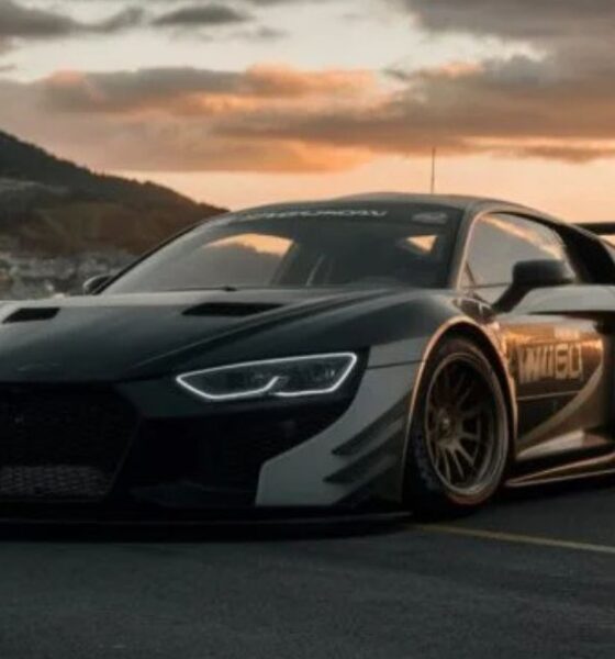 moly wr8 w1449 md wg mp v23 p8