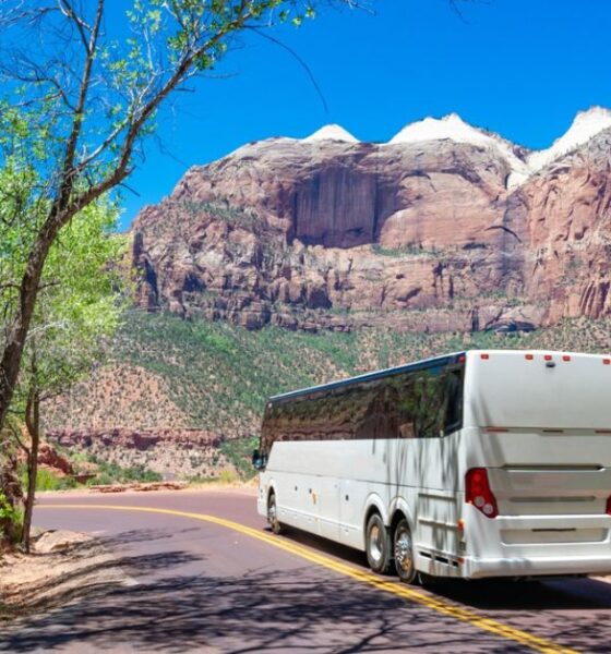 Tours and Travels Near Me