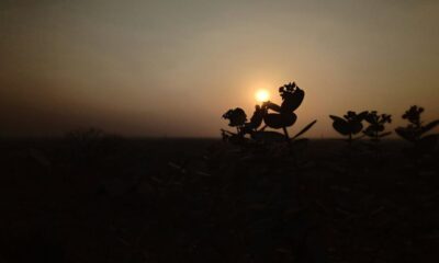 Unique DP For WhatsApp