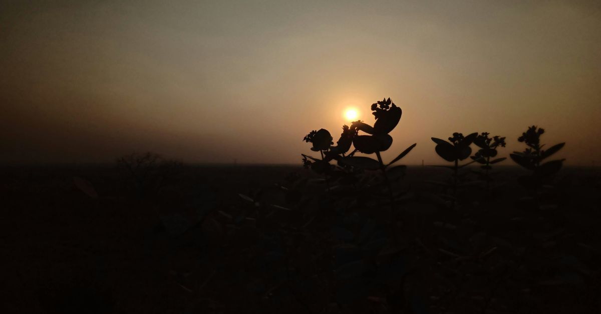 Unique DP For WhatsApp