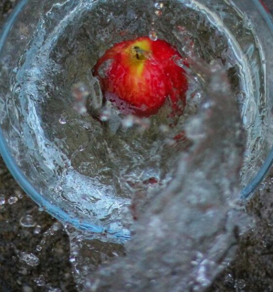 Water Apples