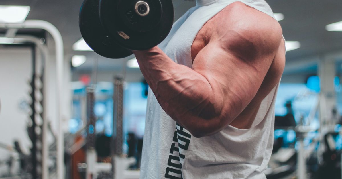 Wellhealth How To Build Muscle Tag